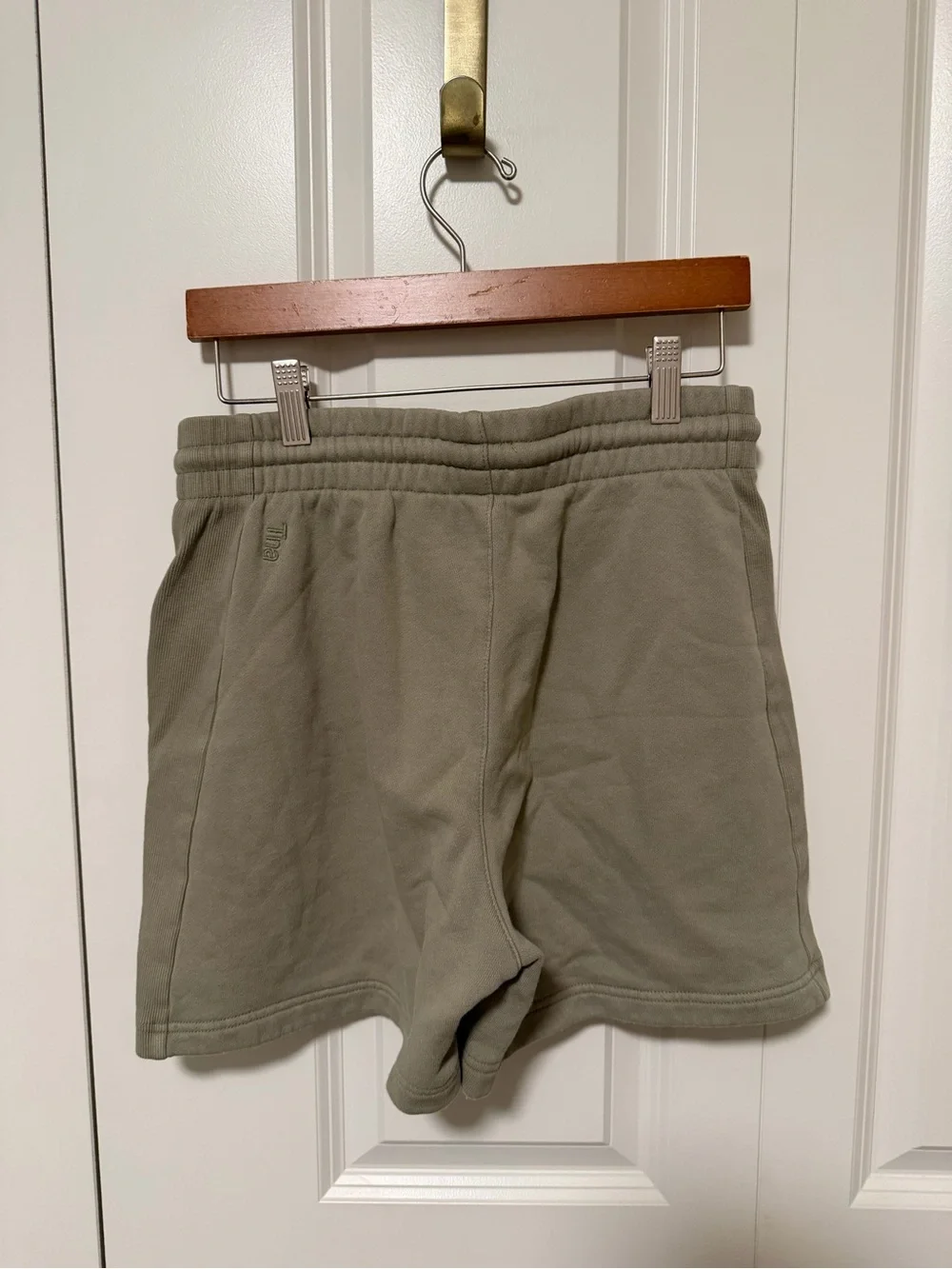 Aritzia Cropped Hoodie in Sage Green